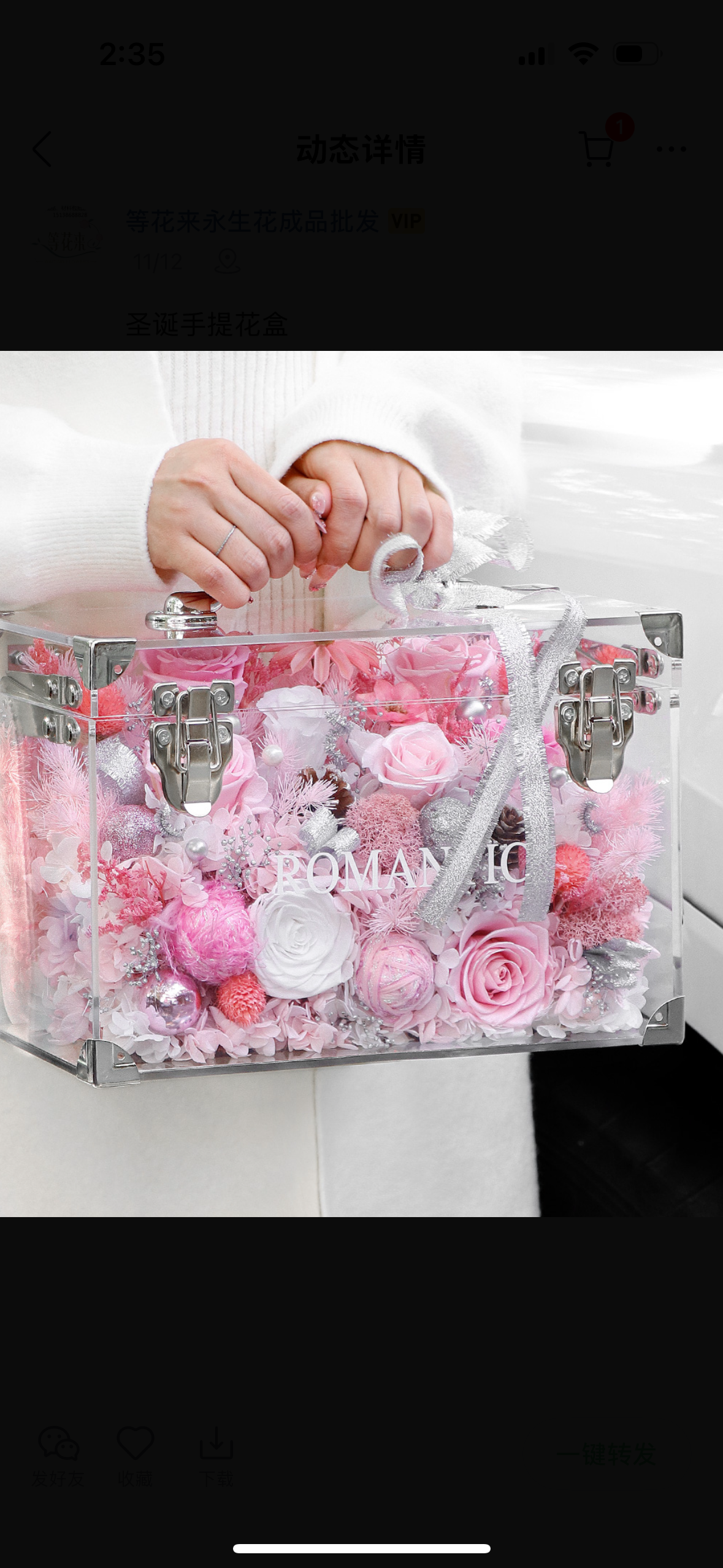 Christmas Preserved Flower Hand-Carry Box | LED Gift Box | Luxury Acrylic Floral Bag – Pink / Red-Green Holiday Edition