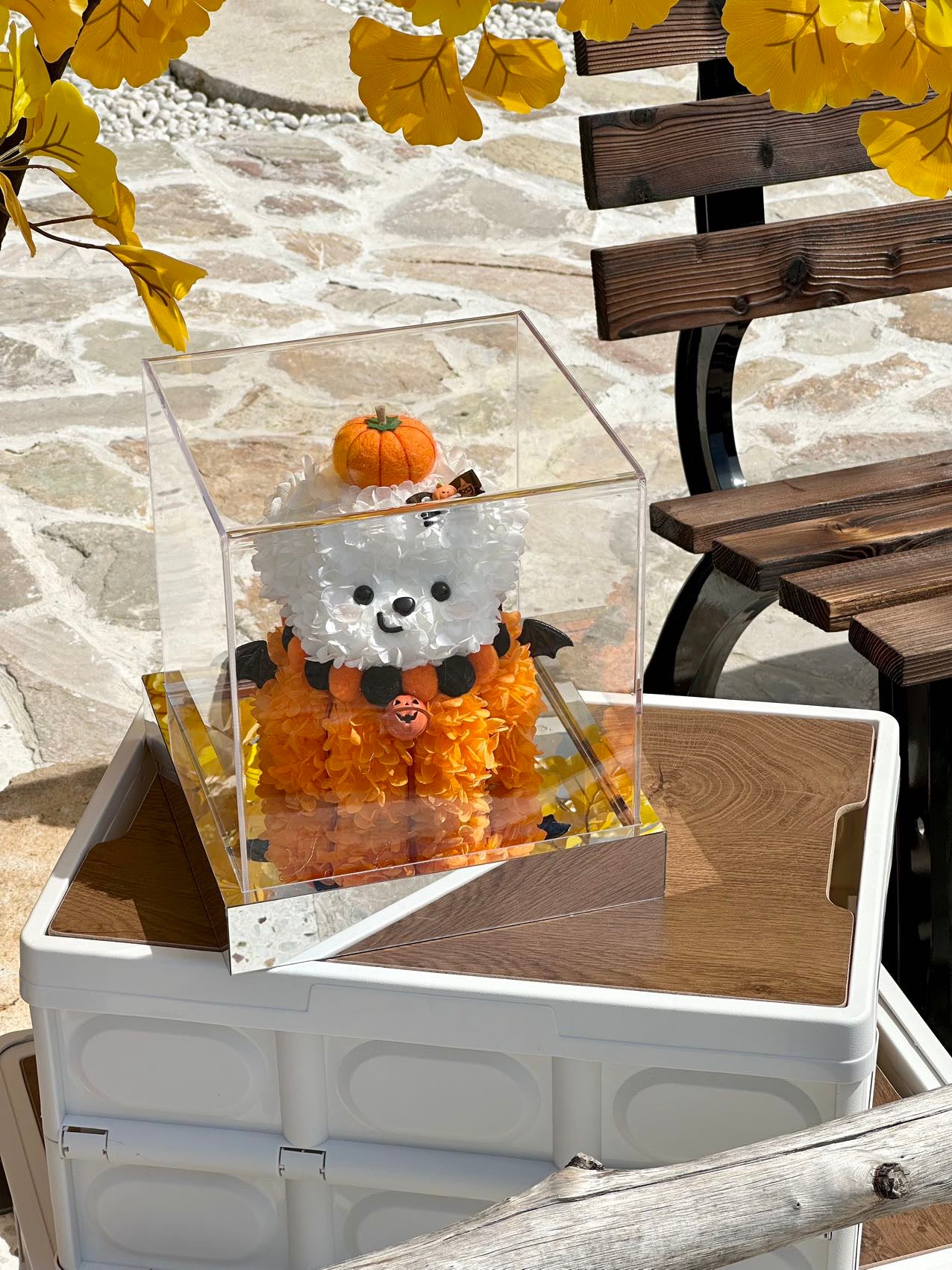 Halloween Preserved Flower Pumpkin Dog | Mini Pumpkin Dog Display | Acrylic Gift Box