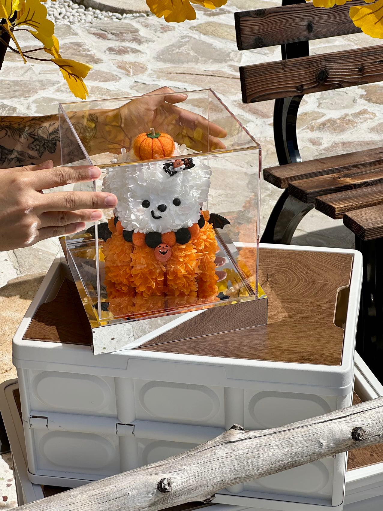 Halloween Preserved Flower Pumpkin Dog | Mini Pumpkin Dog Display | Acrylic Gift Box
