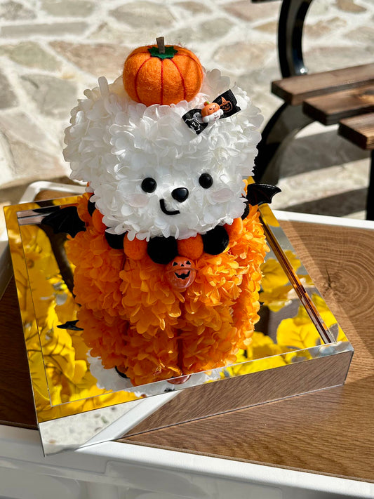 Halloween Preserved Flower Pumpkin Dog | Mini Pumpkin Dog Display | Acrylic Gift Box