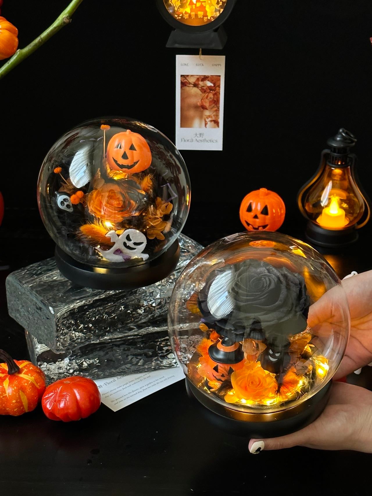 Halloween Preserved Flower Night Light Globe | Pumpkin & Ghost LED Decoration | Trick-or-Treat Gift